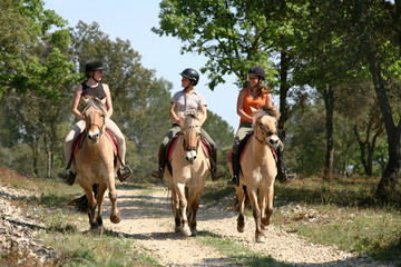 EQUITAZIONE BAMBINI ROMA SUD